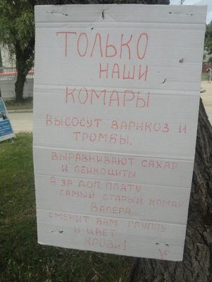 valera.jpg (48.57 КБ) 16898 просмотров valera.jpg